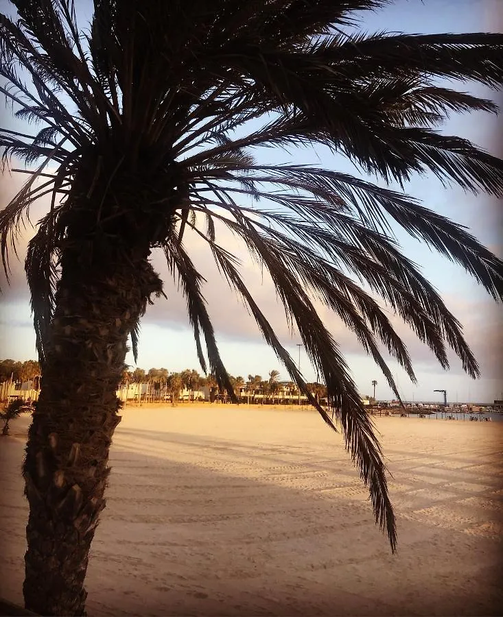 Apartamento Vivienda Vacacional Delia Castillo a 100 metros de la playa Caleta de Fuste